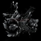 Love & Decay:   - Spotlights [CD]