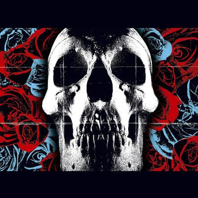 Deftones - Deftones [VINYL] - Vinyl8