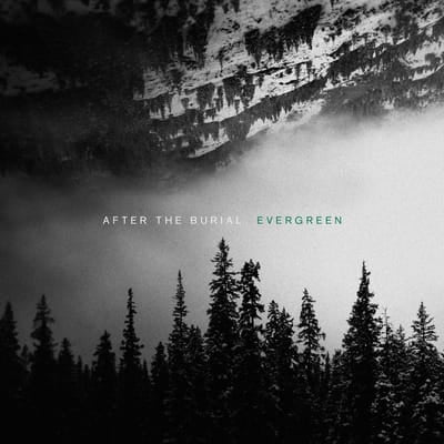 Evergreen - After the Burial [CD] - Vinyl8