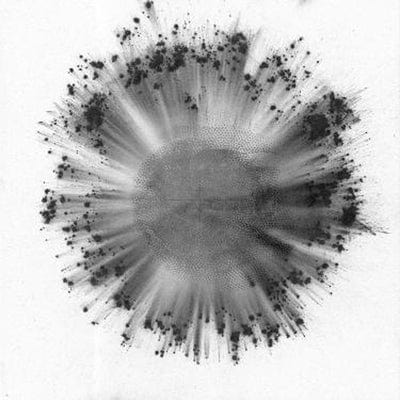 Obverse:   - Trentemøller [CD]