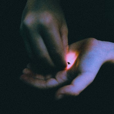 Stray:   - Bambara [CD]