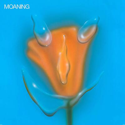Uneasy Laughter:   - Moaning [CD]