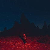 Punisher - Phoebe Bridgers [CD] - Vinyl8