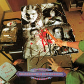 Descanting the Insalubrious - Necroticism [VINYL] - Vinyl8