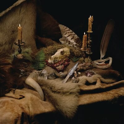 Primordial Arcana - Wolves in the Throne Room [CD]