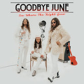 See Where the Night Goes - Goodbye June [VINYL] - Vinyl8