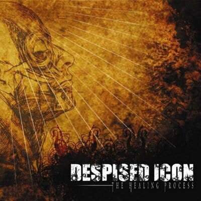 The Healing Process - Despised Icon [CD]