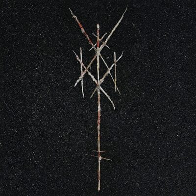 There's Always Blood at the End of the Road:   - Wiegedood [CD]