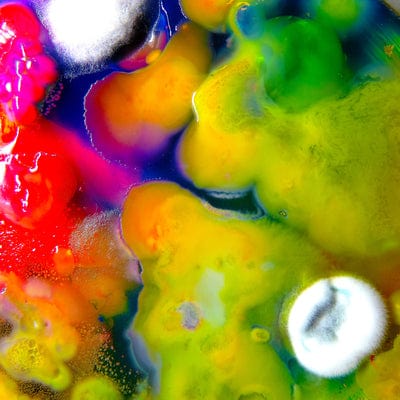 Famously Alive - Guerilla Toss [CD]