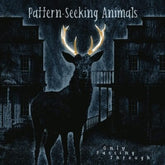 Only Passing Through:   - Pattern-Seeking Animals [VINYL]