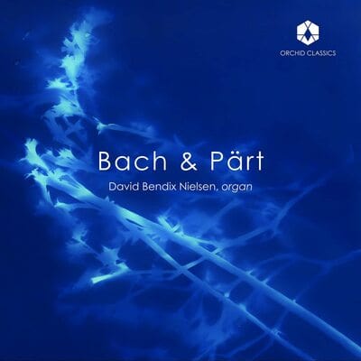 David Bendix Nielsen: Bach & Pärt:   - Johann Sebastian Bach [CD]