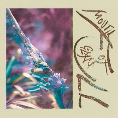 Mouth Full of Glass - Macie Stewart [CD]