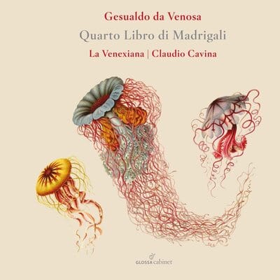 Gesualdo Da Venosa: Quarto Libro Di Madrigali:   - Gesualdo da Venosa [CD] - Vinyl8