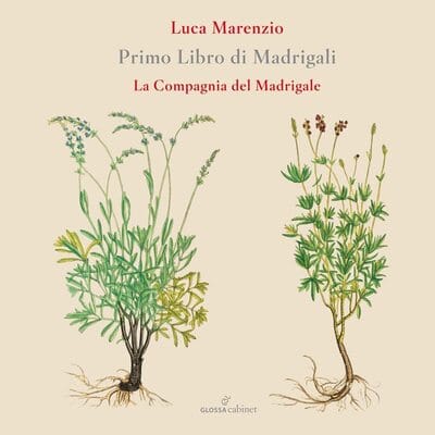 Luca Marenzio: Primo Libro Di Madrigali:   - Luca Marenzio [CD] - Vinyl8