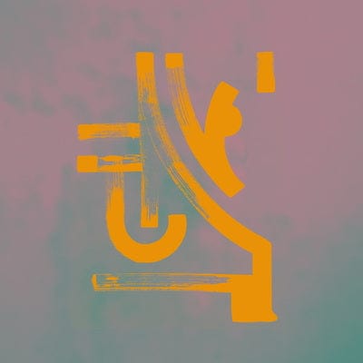 Hausensession:   - Bokoya [VINYL]