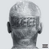 Breezy - Chris Brown [CD]