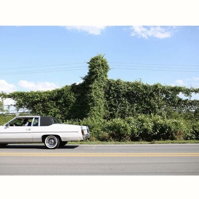 When I Go I Ghost - Cory Branan [VINYL]