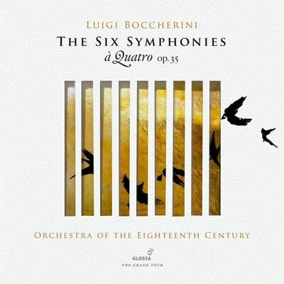 Luigi Boccherini: The Six Symphonies + Quatro, Op. 35 - Luigi Boccherini [CD] - Vinyl8