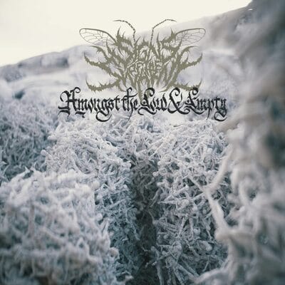 Amongst the Low & Empty - Signs of the Swarm [CD]