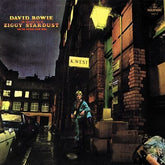 The Rise and Fall of Ziggy Stardust and the Spiders from Mars - David Bowie [CD] - Vinyl8