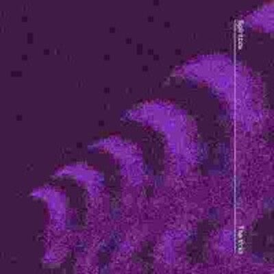 The Fear of Fear - Spiritbox [VINYL]