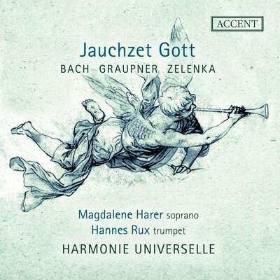 Jauchzet Gott - Johann Sebastian Bach [CD] - Vinyl8