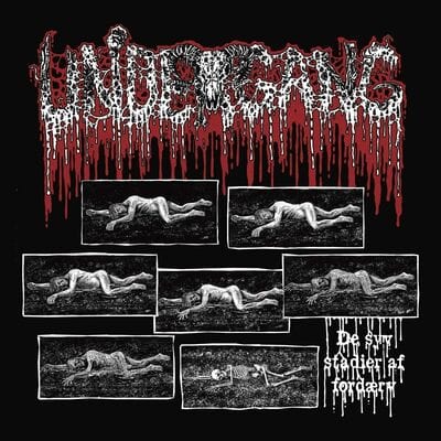 De Syv Stadier Af Fordaerv - Undergang [CD]