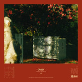 How to Disappear - Casey [CD] - Vinyl8