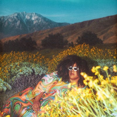 WHAT NOW - Brittany Howard [CD]