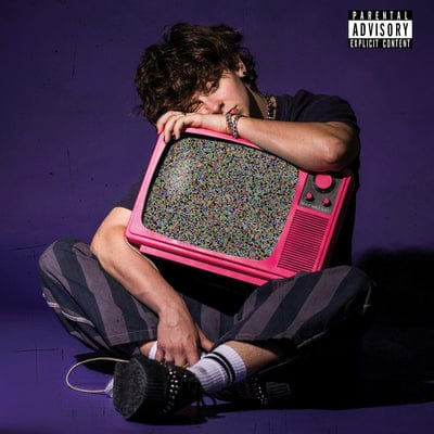 GROWING UP ON the INTERNET - NOAHFINNCE [CD]