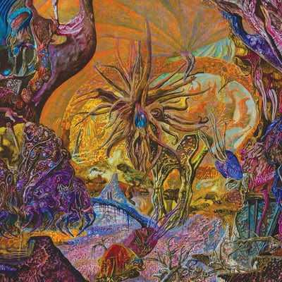 Chytridiomycosis Relinquished - SlimeLord [VINYL]
