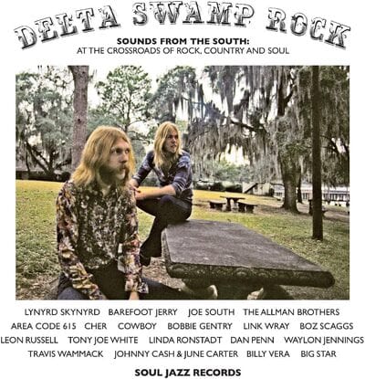 Delta Swamp Rock: Sounds from the South: At the Crossroads of Rock, Country & Soul - Various Artists [VINYL]