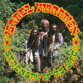 Strength of My Life - Israel Vibration [CD]