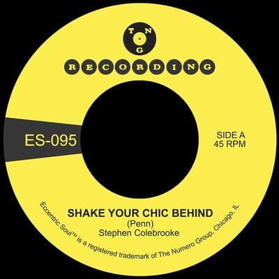 Shake Your Chic Behind/Stay Away from Music - Stephen Colebrooke [VINYL] - Vinyl8