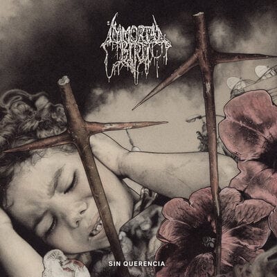 Sin Querencia - Immortal Bird [VINYL]