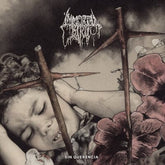 Sin Querencia - Immortal Bird [CD]