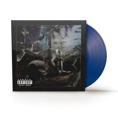 Feet of Clay (RSD Black Friday 2024) - Earl Sweatshirt [VINYL Limited Edition] - Vinyl8