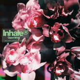 Open Wide - Inhaler [VINYL] - Vinyl8