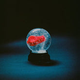 Nothing - Darkside [VINYL]