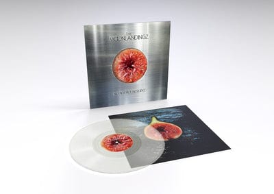 No Rocket Required - The Moonlandingz [VINYL]