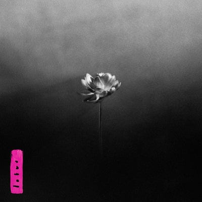 Lotus (Electric Pink Edition) - Little Simz [Colour Vinyl]
