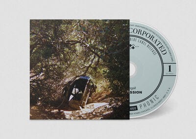 Possession - Ty Segall [CD]