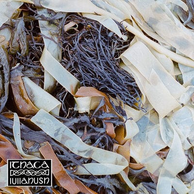 Ithaca - lullahush [VINYL]