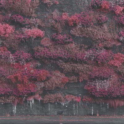 Even in Arcadia - Sleep Token [VINYL Limited Edition] - Vinyl8