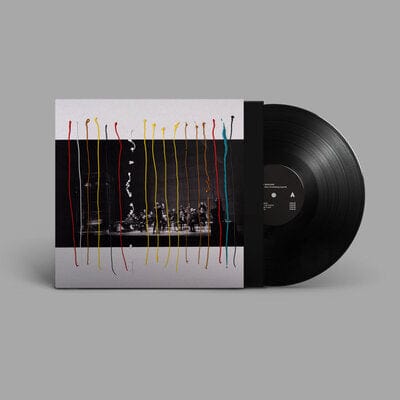 Music for 17 Musicians - Jameszoo with Asko|Schönberg [VINYL]