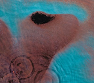 Meddle - Pink Floyd [CD]