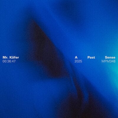 A Past Sense - Mr. Käfer [VINYL]