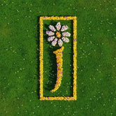 Nothing But Love: The Definitive Best Of - James [VINYL]