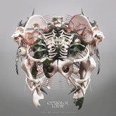 The Weight of Sound - Crystal Lake [VINYL Limited Edition] - Vinyl8