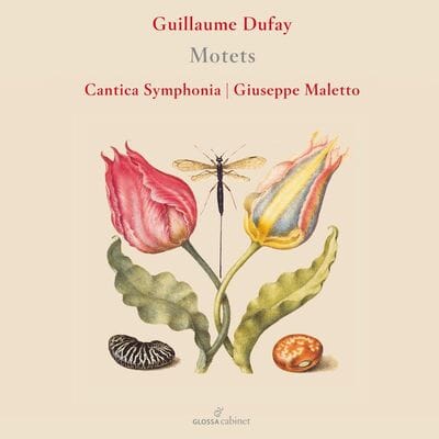 Guillaume Dufay: Motets - Guillaume Dufay [CD]